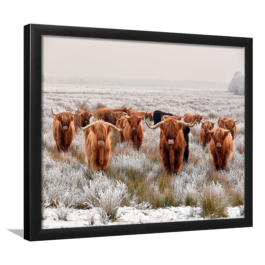 Longhorn Cow Framed Art Prints Wall Art Decor, Framed Picture, Home Decor