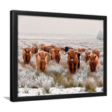 Longhorn Cow Framed Art Prints Wall Art Decor, Framed Picture, Home Decor