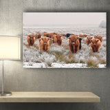 Longhorn Cow Canvas Prints Wall Art Decor - Painting Canvas,Home Decor, Ready to Hang