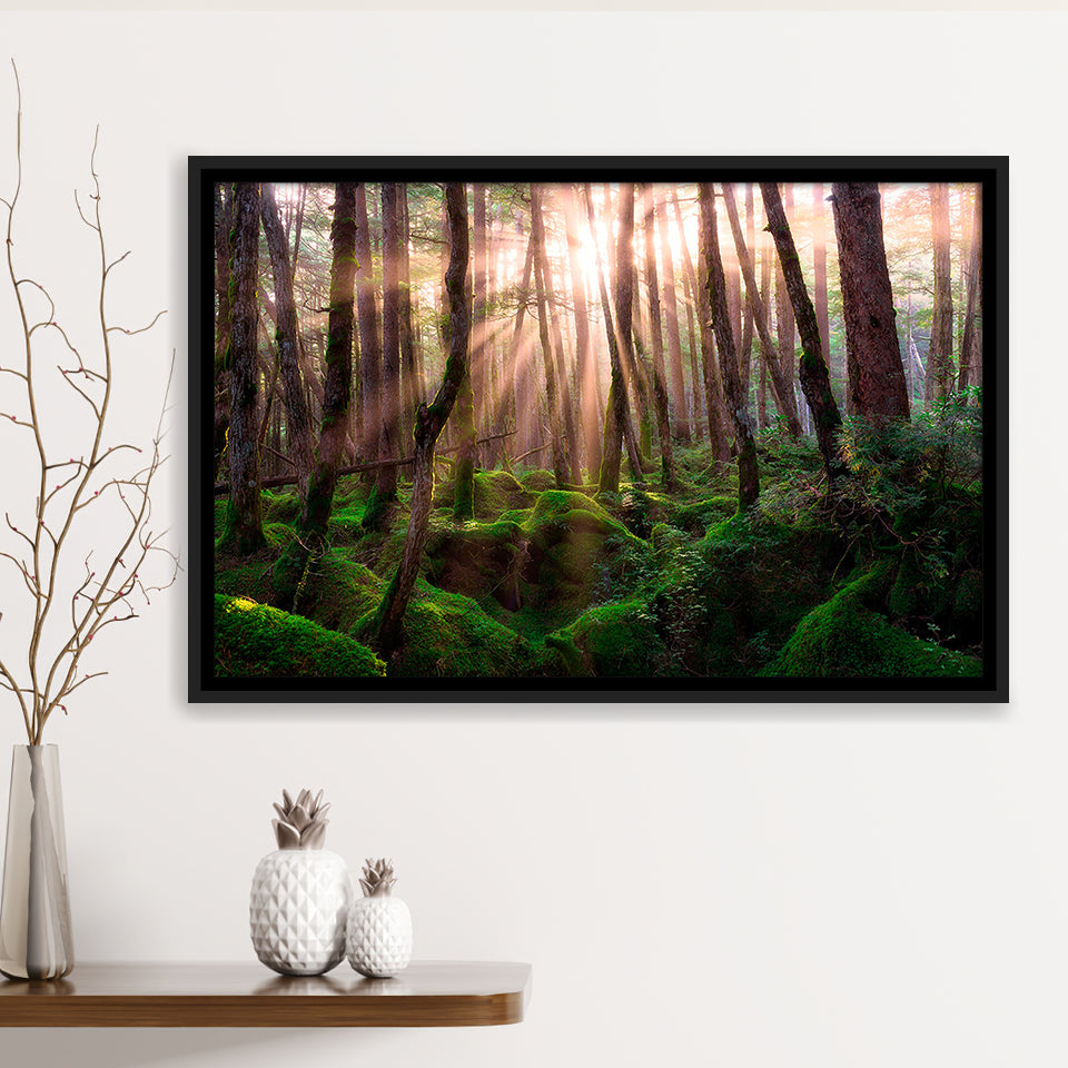 Magical Forest Morning Framed Canvas Prints Wall Art Decor, Framed Picture, Floating Frame