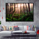 Magical Forest Morning Framed Canvas Prints Wall Art Decor, Framed Picture, Floating Frame