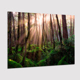 Magical Forest Morning Poster Prints Wall Art Decor, Unframe, Poster Art