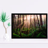 Magical Forest Morning Framed Art Prints Wall Art Decor, Framed Picture, Home Decor