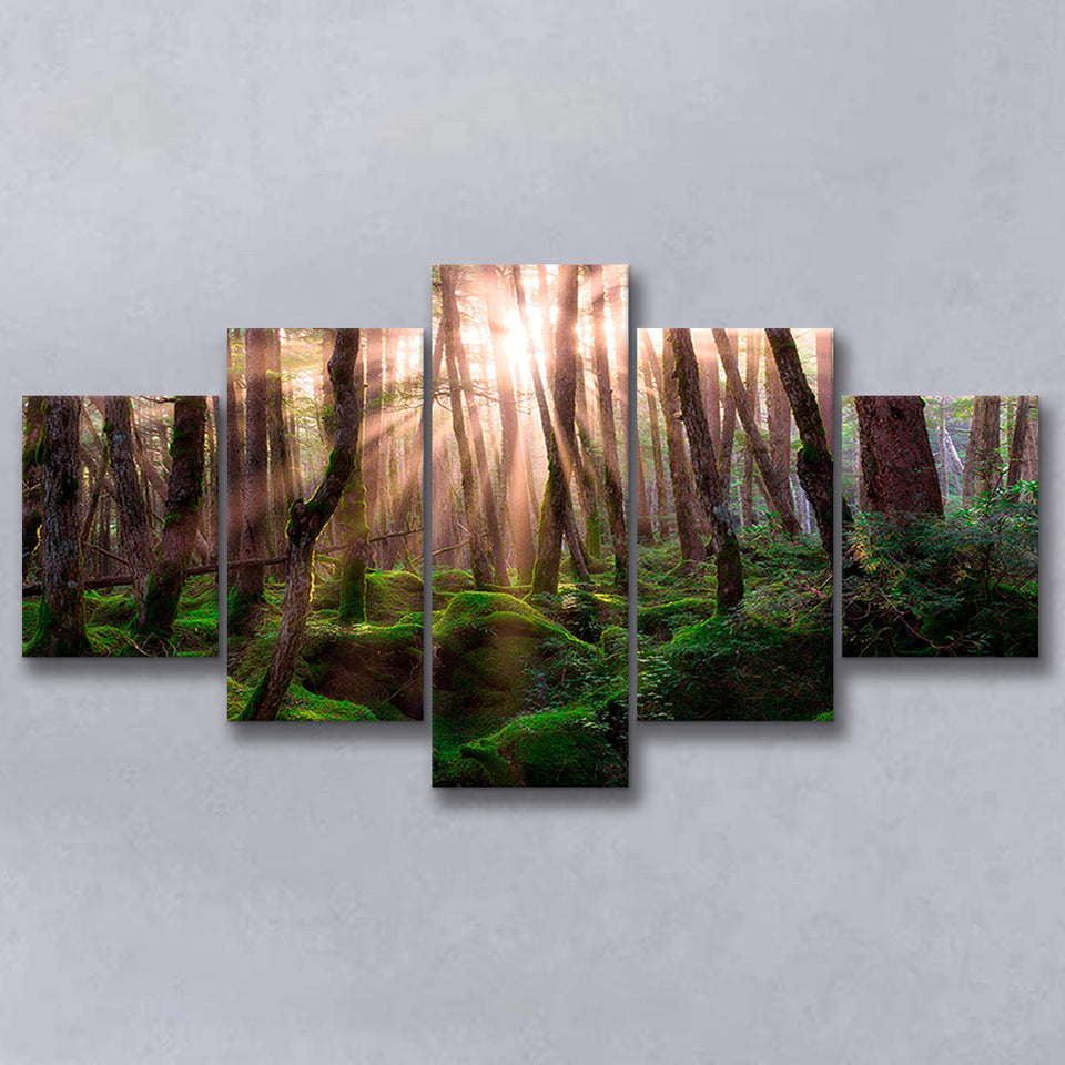Magical Forest Morning 5 Piece Canvas Prints Wall Art Decor, Multi Panels, Mixed Canvas
