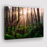Magical Forest Morning Canvas Prints Wall Art Decor - Painting Canvas,Home Decor, Ready to Hang