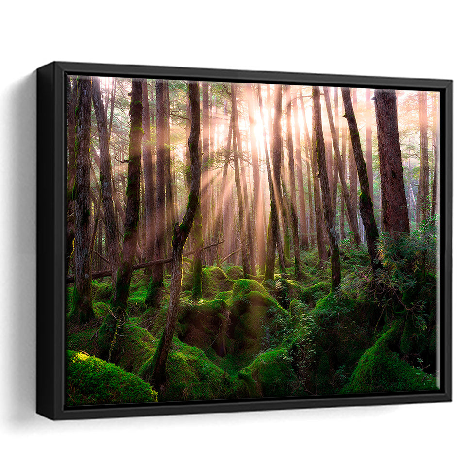 Magical Forest Morning Framed Canvas Prints Wall Art Decor, Framed Picture, Floating Frame