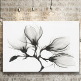 Magnolia Flower Black And White Canvas Prints Wall Art Decor - Painting Canvas,Home Decor, Ready to Hang