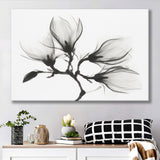 Magnolia Flower Black And White Canvas Prints Wall Art Decor - Painting Canvas,Home Decor, Ready to Hang