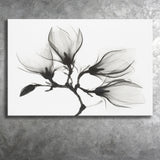 Magnolia Flower Black And White Canvas Prints Wall Art Decor - Painting Canvas,Home Decor, Ready to Hang
