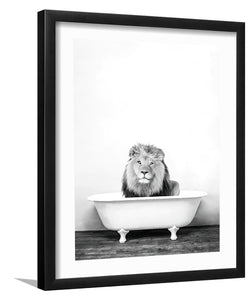 Male Lion In Bathtub In Black And White-Black and white Art, Art Print, Plexiglass Cover