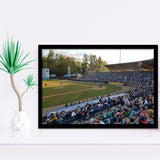 McCormick Field, Stadium Canvas, Sport Art, Gift for him, Framed Art Prints Wall Art Decor, Framed Picture
