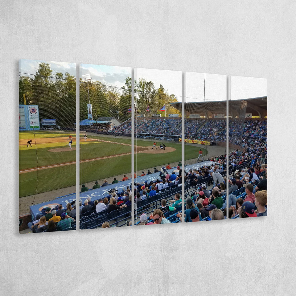 McCormick Field, Stadium Canvas, Sport Art, Gift for him, Multi Panels B, Canvas Prints Wall Art Decor