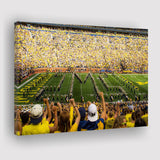 Michigan Wolverines Wall Art Michigan Stadium Canvas Prints The,Sport Stadium Art Prints, Fan Gift, Wall Decor