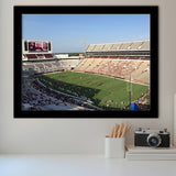 Mississippi State Bulldogs Stadium Art Prints Devis Wade Stadium Wall,Sport Stadium Art Prints, Fan Gift, Wall Decor