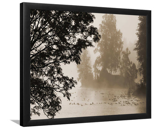 Morning Mist-Forest art, Art print, Plexiglass Cover