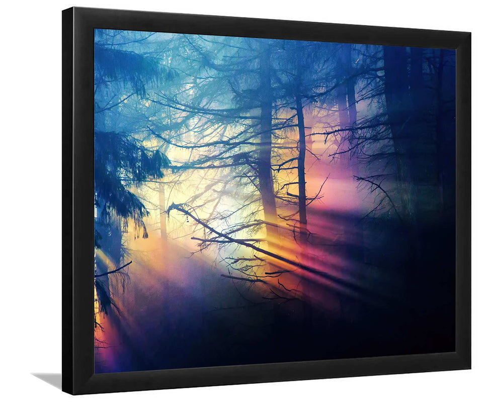 Morning Sunbeams Forest-Forest art, Art print, Plexiglass Cover