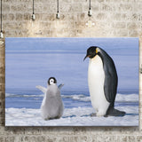 Mother And Baby Penguin Playing In The Snow Canvas Prints Wall Art - Painting Canvas, Home Wall Decor, Painting Prints, For Sale