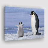 Mother And Baby Penguin Playing In The Snow Canvas Prints Wall Art - Painting Canvas, Home Wall Decor, Painting Prints, For Sale