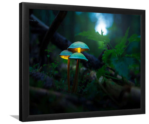 Mushroom Plants Glowing-Forest art, Art print, Plexiglass Cover