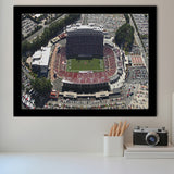 NC State Wolfpack Stadium Art Prints Carter Finley Stadium Wall,Sport Stadium Art Prints, Fan Gift, Wall Decor