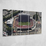 NC State Wolfpack Stadium Canvas Prints Carter Finley Stadium Wall,Multi Panels B,Sport Stadium Art Prints, Fan Gift