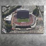 NC State Wolfpack Stadium Canvas Prints Carter Finley Stadium Wall,Sport Stadium Art Prints, Fan Gift, Wall Decor