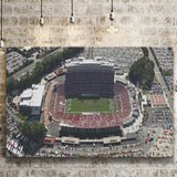 NC State Wolfpack Stadium Canvas Prints Carter Finley Stadium Wall,Sport Stadium Art Prints, Fan Gift, Wall Decor