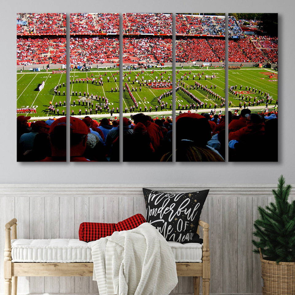 NC State Wolfpack Wall Art Carter Finley Stadium,Multi Panels B,Sport Stadium Art Prints, Fan Gift