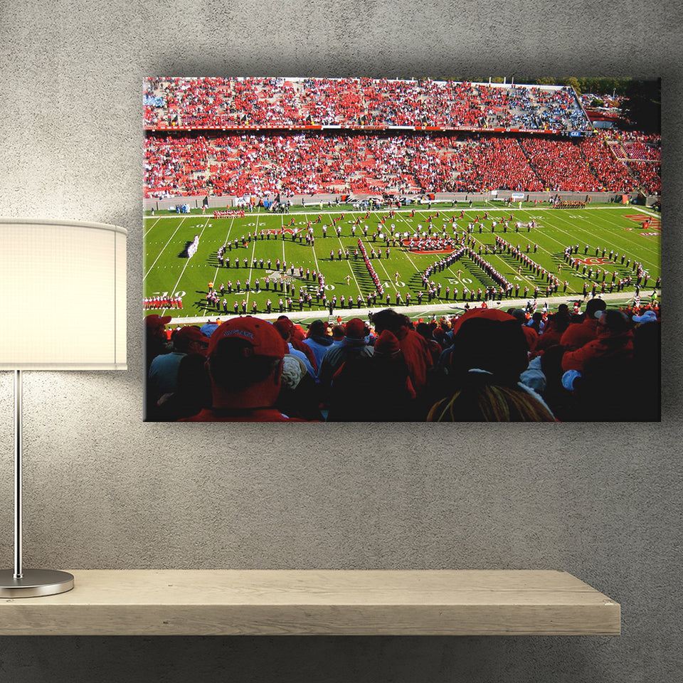 NC State Wolfpack Wall Art Carter Finley Stadium,Sport Stadium Art Prints, Fan Gift, Wall Decor