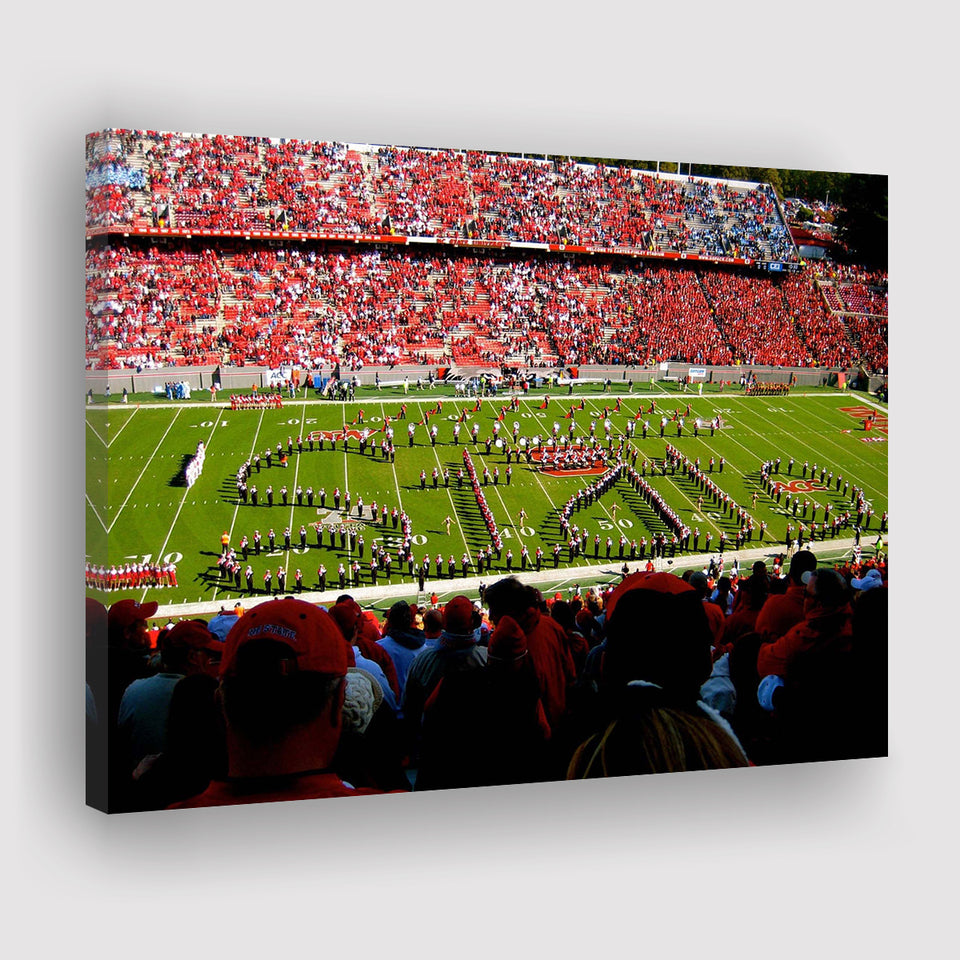 NC State Wolfpack Wall Art Carter Finley Stadium,Sport Stadium Art Prints, Fan Gift, Wall Decor