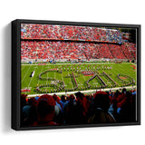 NC State Wolfpack Framed Canvas Prints Wall Art Carter Finley Stadium,Sport Stadium Art Prints, Fan Gift