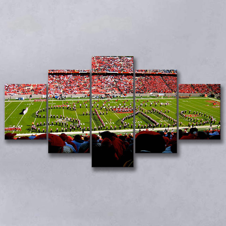 NC State Wolfpack Wall Art Carter Finley Stadium,Multi Panels,Sport Stadium Art Prints, Fan Gift