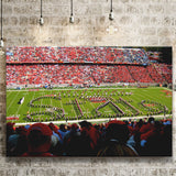 NC State Wolfpack Wall Art Carter Finley Stadium,Sport Stadium Art Prints, Fan Gift, Wall Decor