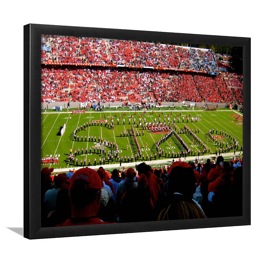 NC State Wolfpack Wall Art Carter Finley Stadium,Sport Stadium Art Prints, Fan Gift, Wall Decor