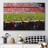NC State Wolfpack Wall Art Carter Finley Stadium,Sport Stadium Art Prints, Fan Gift, Wall Decor