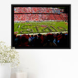 NC State Wolfpack Framed Canvas Prints Wall Art Carter Finley Stadium,Sport Stadium Art Prints, Fan Gift