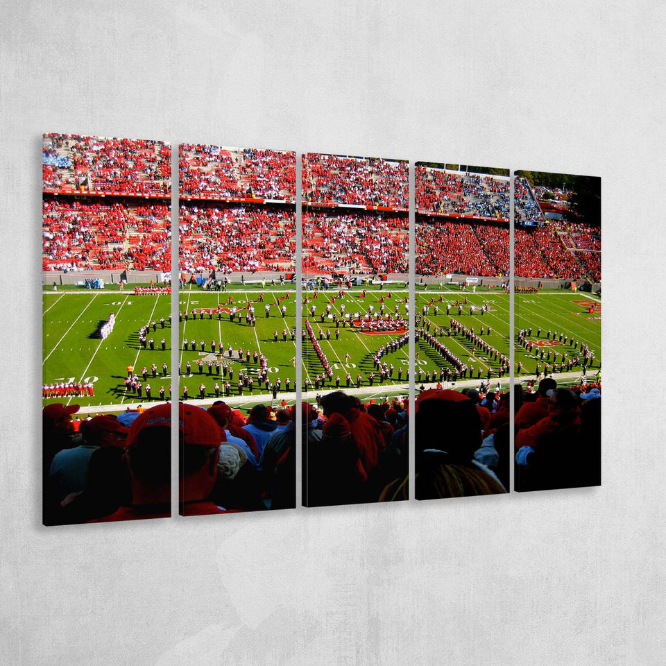 NC State Wolfpack Wall Art Carter Finley Stadium,Multi Panels B,Sport Stadium Art Prints, Fan Gift