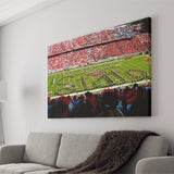 NC State Wolfpack Wall Art Carter Finley Stadium,Sport Stadium Art Prints, Fan Gift, Wall Decor
