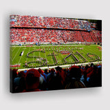 NC State Wolfpack Wall Art Carter Finley Stadium,Sport Stadium Art Prints, Fan Gift, Wall Decor