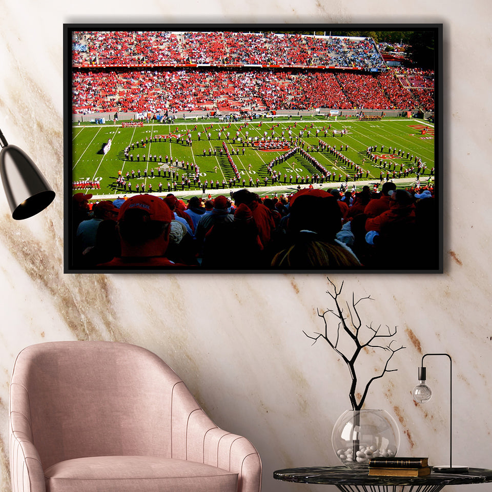 NC State Wolfpack Framed Canvas Prints Wall Art Carter Finley Stadium,Sport Stadium Art Prints, Fan Gift