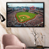 National Park Washington Dc, Stadium Canvas, Sport Art, Gift for him, Framed Canvas Prints Wall Art Decor, Framed Picture