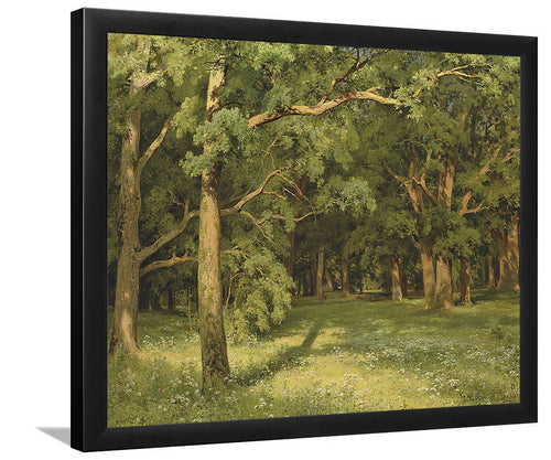 Nature Forests-Forest art, Art print, Plexiglass Cover