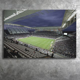 Neo Quimica Arena, Stadium Canvas, Sport Art, Gift for him,V1 Fan Gift, Canvas Prints Wall Art Decor
