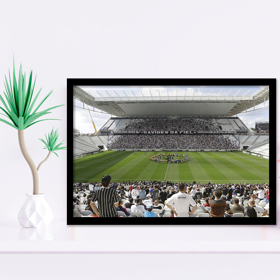 Neo Química Arena in Brazil, Stadium Canvas, Sport Art, Gift for him, Framed Art Prints Wall Art Decor, Framed Picture