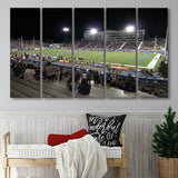 Nevada Wolf Pack Wall Art Mackay Stadium Canvas Prints,Multi Panels B,Sport Stadium Art Prints, Fan Gift