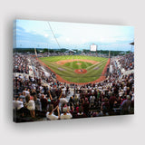 New Dudy Noble Field, Stadium Canvas, Sport Art, Gift for him, Fan Gift, Canvas Prints Wall Art Decor