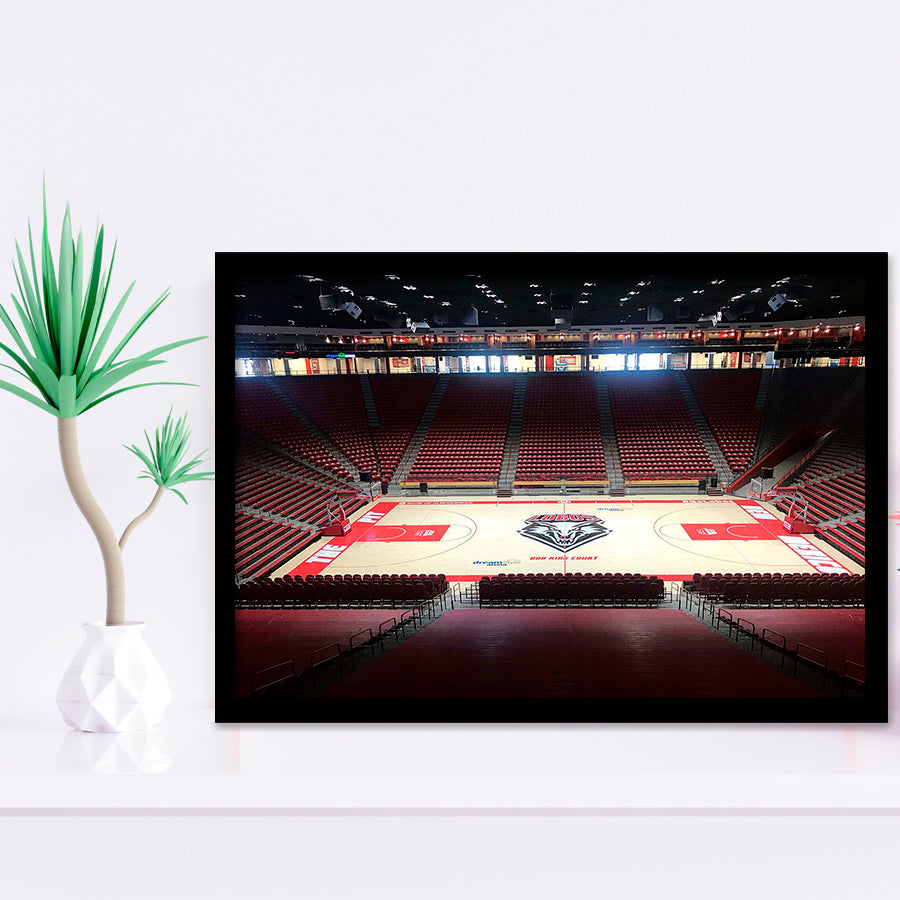 New Mexico Lobos Wall Art Dreamstyle Arena Stadium Art Prints,Sport Stadium Art Prints, Fan Gift, Wall Decor