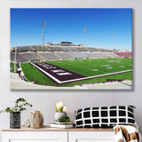New Mexico State Aggies Wall Art Aggie Memorial,Sport Stadium Art Prints, Fan Gift, Wall Decor