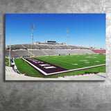 New Mexico State Aggies Wall Art Aggie Memorial,Sport Stadium Art Prints, Fan Gift, Wall Decor