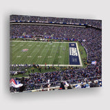 New York Giants Stadium Canvas Prints MetLife Stadium Wall Art,Sport Stadium Art Prints, Fan Gift, Wall Decor